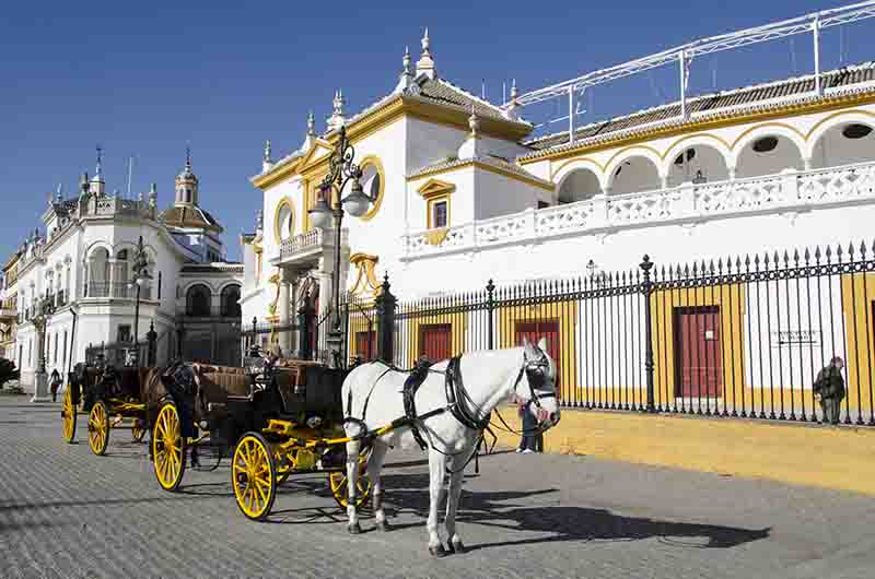 Sevilla 218 - plaza de toros de La Maestranza.jpg